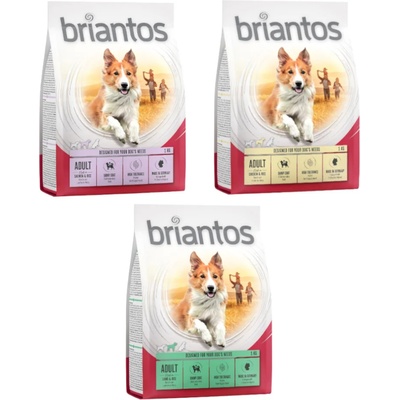 Briantos 3х1кг Adult Briantos, суха храна за кучета - агнешко, сьомга, пилешко