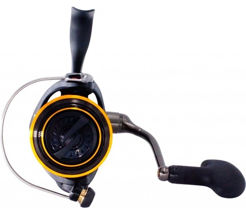Daiwa BG 2500