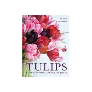 Tulips | Rachel Warne (ISBN: 9781911624288)