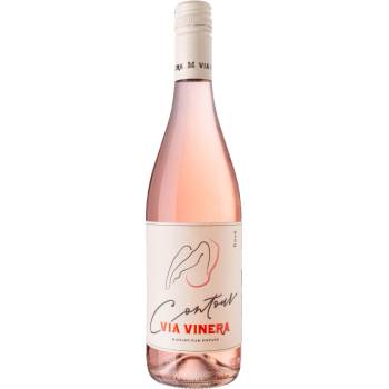 Image 1 of Contour Rose