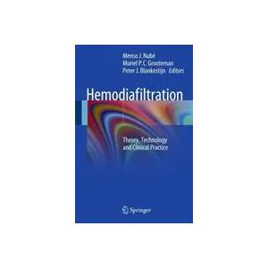Hemodiafiltration | Menso J. Nubé, Muriel P. C. Grooteman, Peter Blankestijn (ISBN: 9783319233314)