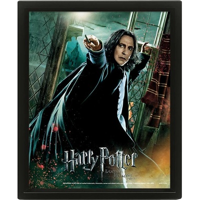 Harry Potter Obraz 3D - Snape
