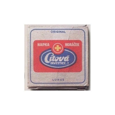 HAPKA & HORACEK - CITOVA INVESTICE LP