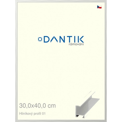 DANTIK rám na obraz 30 x 40 Stříbrná lesklá