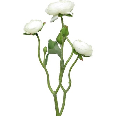 pryskyřník - ranonculus krémový 48 cm
