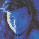 BJORK: TELEGRAM LP