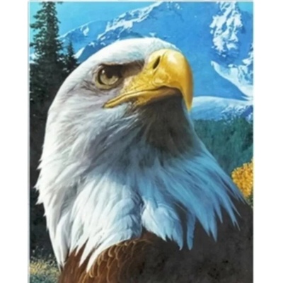 Белоглав орел 40/50 см