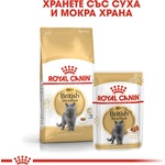  Котешка храна Royal Canin British Shorthair Pouch - 0.085кг