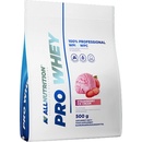 ALLNUTRITION Pro Whey 500 g