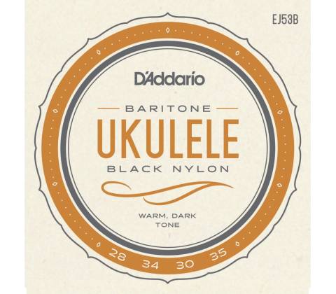 D'Addario EJ53B