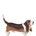 Papo - Фигурка за колекциониране и игра - Basset hound (54012)
