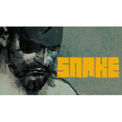 Metal Gear Solid Master Collection Volume 2