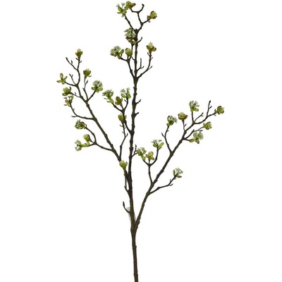 KONÁR ROZKVIT. BIELY KVET 100CM