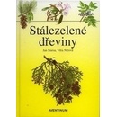 Stálezelené dřeviny
