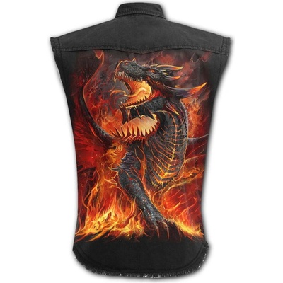Spiral Drak Draconis LG211880