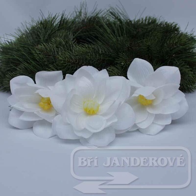 Vazbový lotos - bílá - VL0297