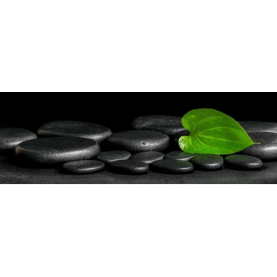 Bondecor Obraz na plátně "Black-&-green" 150x50cm