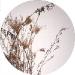 Malerifabrikken Изображение 70x70 cm Everlasting - Malerifabrikken (973-1617-070000)
