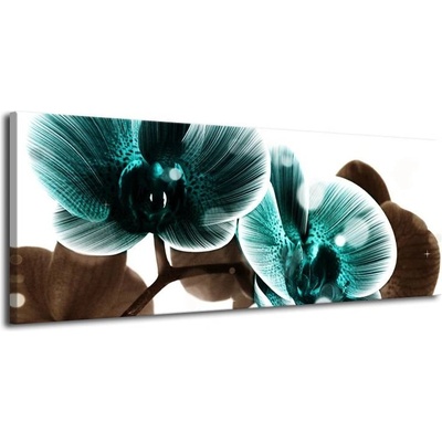 Obraz modrá orchidej plátno 1 100x40