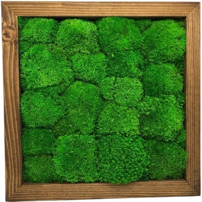 Machový obraz 25x25cm