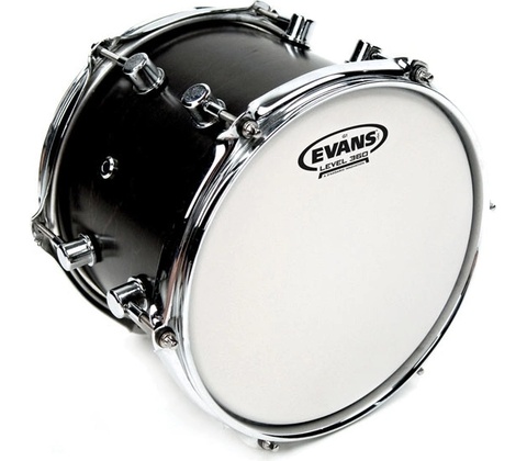 Evans B 12 G 1