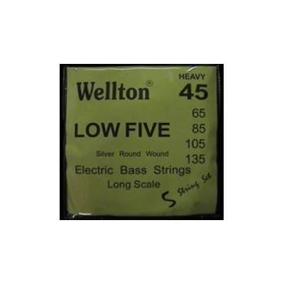 Wellton EB-545