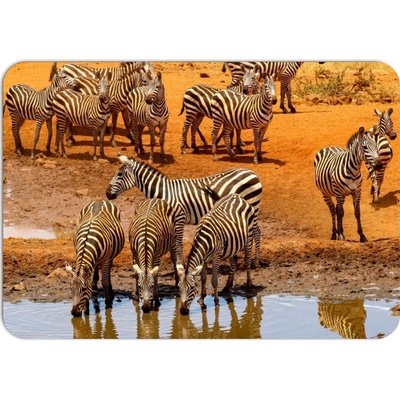 PokojovaDekorace.cz prostírání 387 Zebra 43x30cm