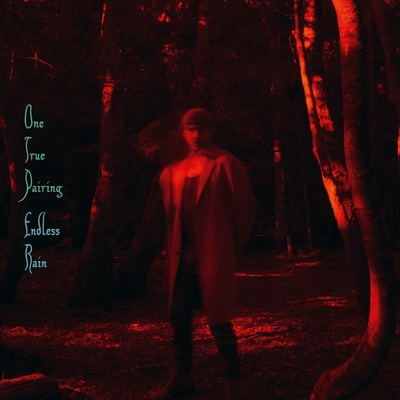 One true Pairing Endless Rain 1 CD