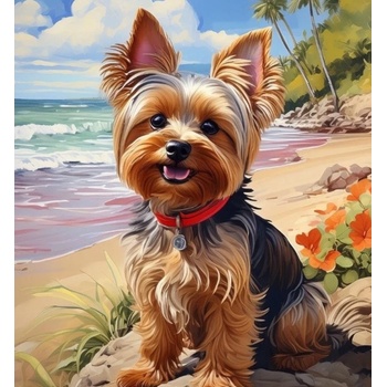 Norimpex - Puzzle Diamant painting: Yorkshire on the beach 30x40cm - 1 - 39 piese