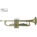Roy Benson TR-202