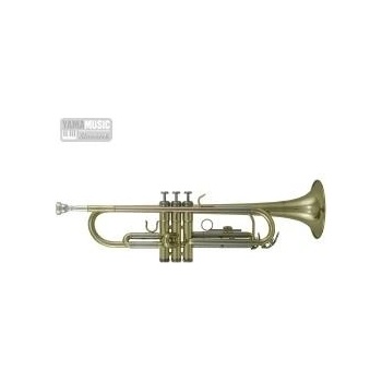 Roy Benson TR-202