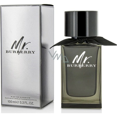 Burberry Mr. Burberry parfumovaná voda pánska 100 ml