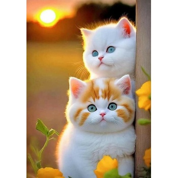 Image 1 of Котета 40/50 см