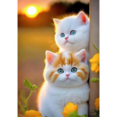 Котета 40/50 см