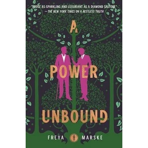 A Power Unbound | MARSKE FREYA (ISBN: 9781250788955)