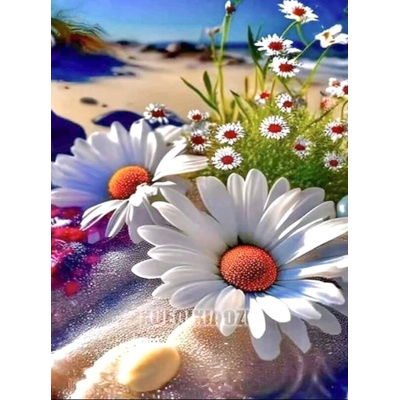Цветя на брега на морето 20/30 см