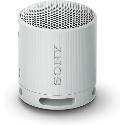 Sony SRS-XB100H