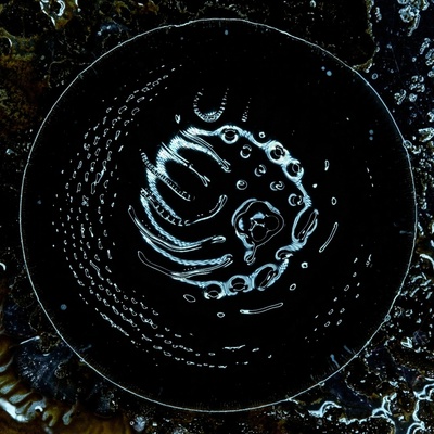 Stonus - Stonus CD