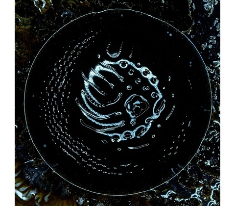 Stonus - Stonus CD