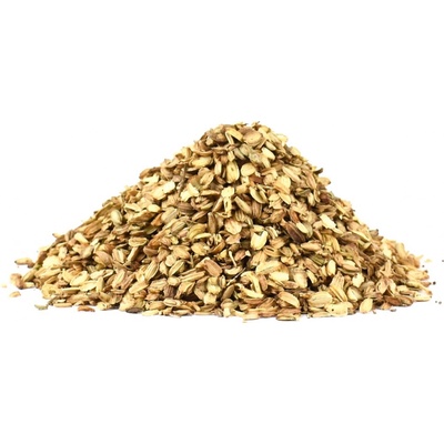 Naturway Andělika plod 100 g