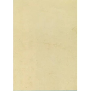 APLI Предварително отпечатана хартия, A4, 200 g, APLI, хавана 11960 (11960)
