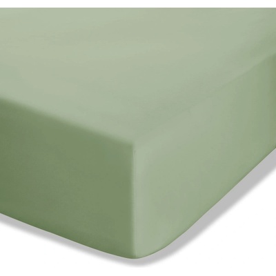 Catherine Lansfield Зелен еластичен чаршаф от перкал 90x190 cm Easy Iron Percale - Catherine Lansfield (BD/18277/W/SFD/SA)