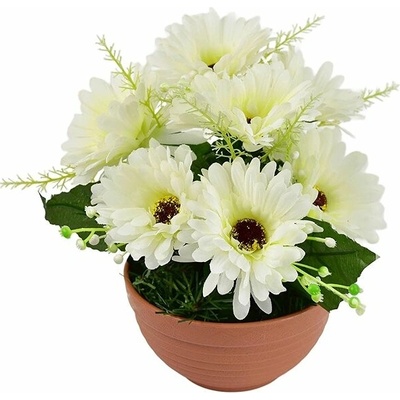 DOMMIO Gerbery krémové 7 kvetov v terakotovej miske, priemer 22/24 cm