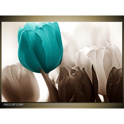 Obraz Květina z tulipánů - modrá