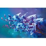 DIMEX ART Флизелинов фототапет сини орхидеи 375 x 250 см