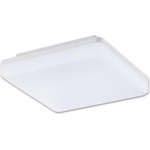 Top Light Leon H