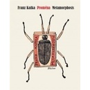 Proměna / Metamorphosis