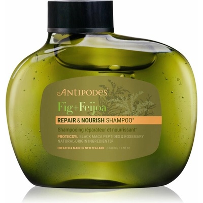 Antipodes Fig + Feijoa Repair & Nourish posilňujúci šampón pre suché a poškodené vlasy 340 ml