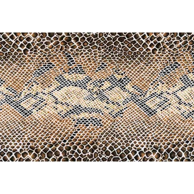 Dimex MS-5-2580 Vliesová fototapeta Hadí kůže rozměry 375 x 250 cm