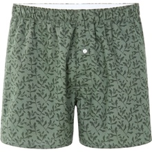 Celio Binormal zelena